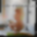 Bisexual swingers mature