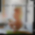 Horny housewives Girardeau