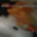 Horny married women Modesto