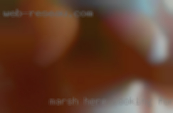 Marsh here looking for females bisexual a genue woman.