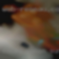 Naked women Summerville