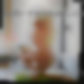 Swinger lifestyle groups Texas